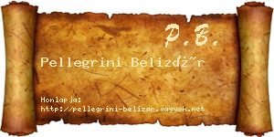 Pellegrini Belizár névjegykártya